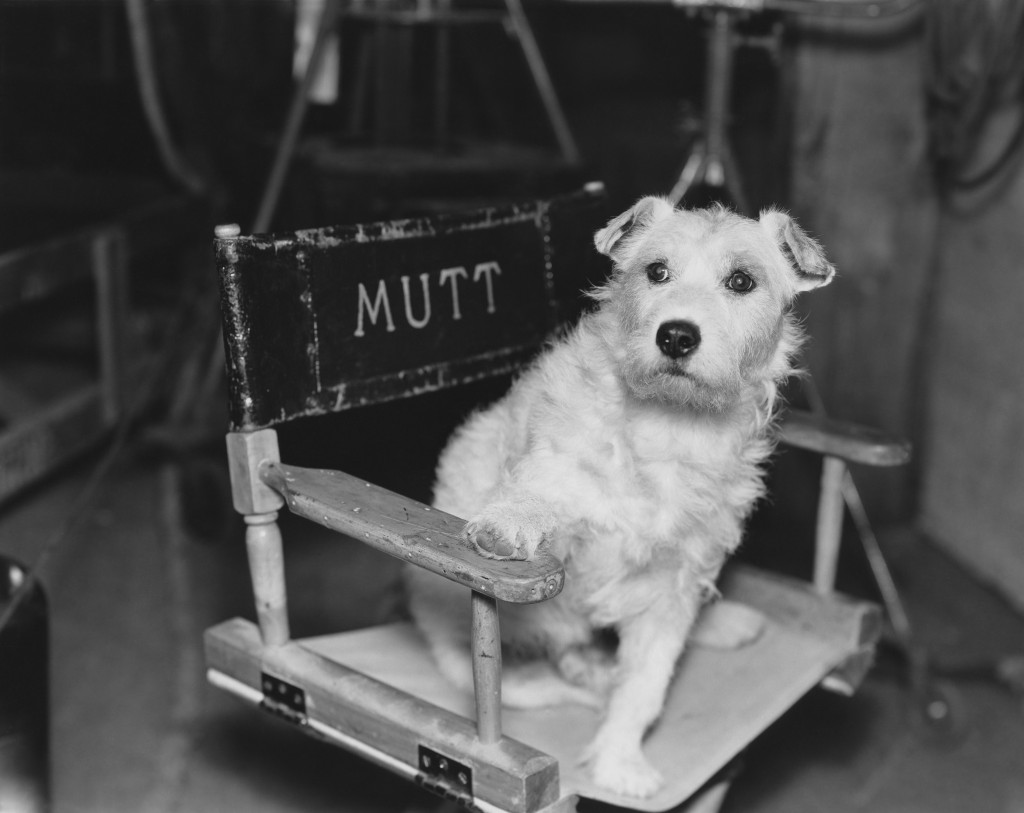 How Truthful is the “No Animals Were Harmed” Label? - Environmental Watch