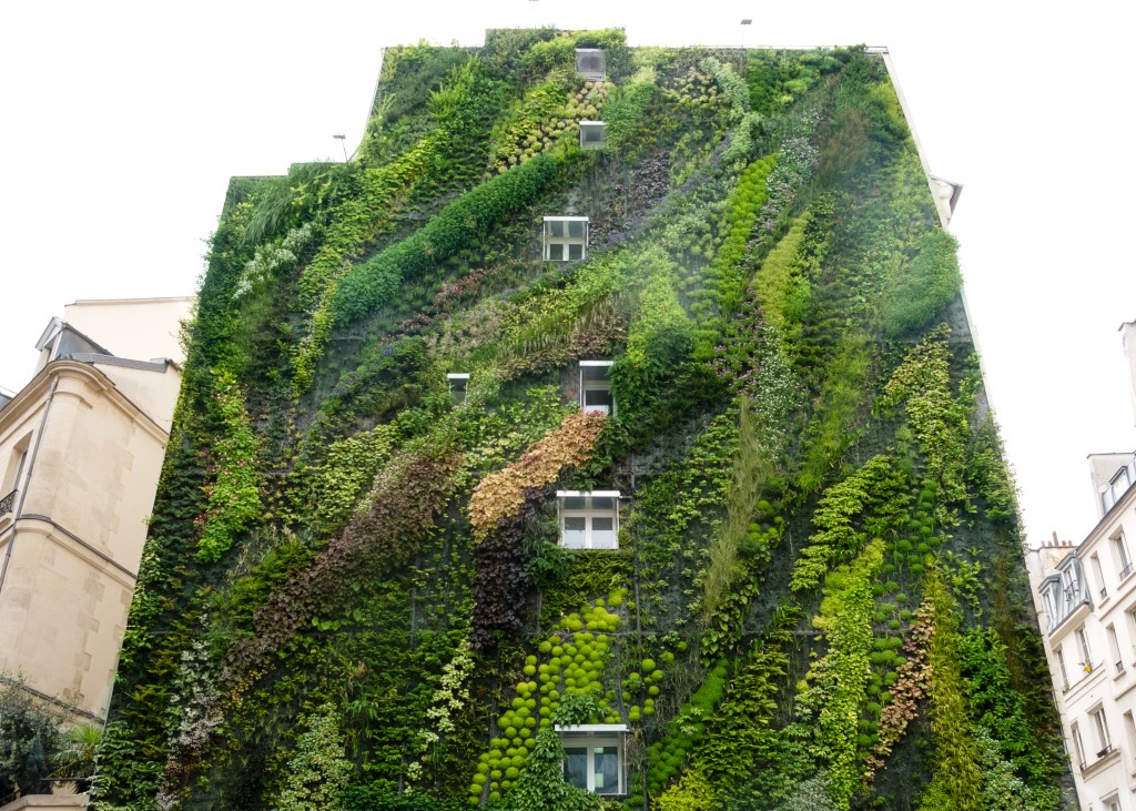 This Hanging Garden Will Blow Your Mind - Environmental Watch