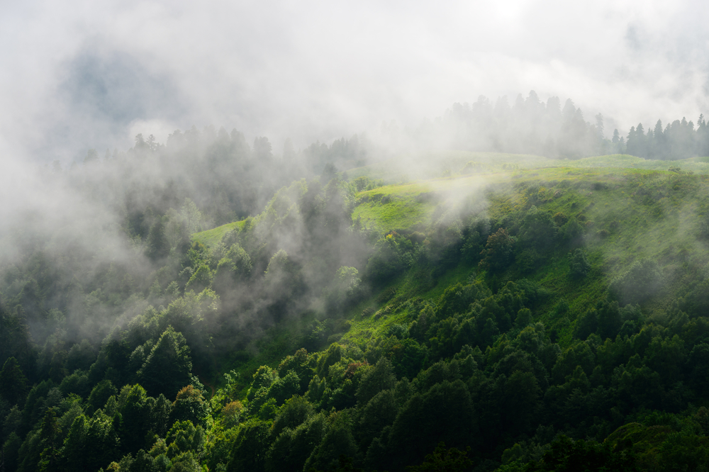 Atmospheric oxygen has been decreasing at a relatively rapid rate.