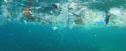 ocean garbage patches