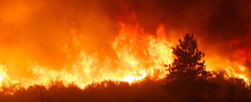 We need to adapt to wildfires, because they are becoming as inevitable as floods and droughts.