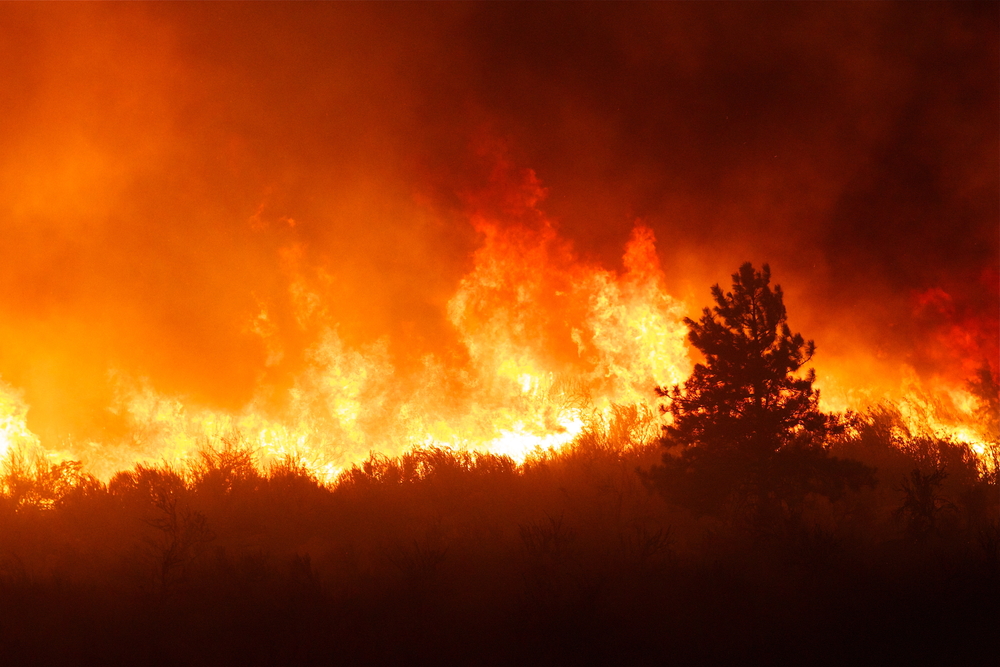 We need to adapt to wildfires, because they are becoming as inevitable as floods and droughts.