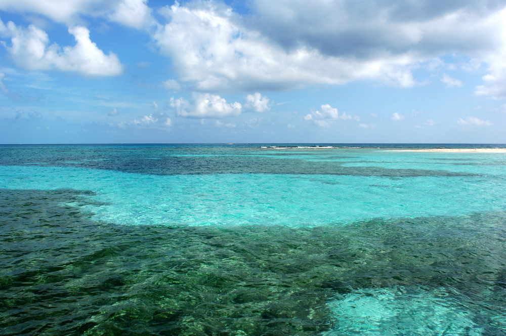 Thanks to a multifaceted approach involving many stakeholders, the nation of Belize now has a conservation action plan that will preserve both jobs and the environment.